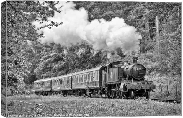 The Branch Line - Black and White Canvas Print by Steve H Clark