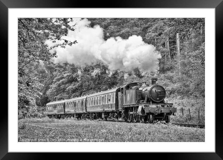 The Branch Line - Black and White Framed Mounted Print by Steve H Clark