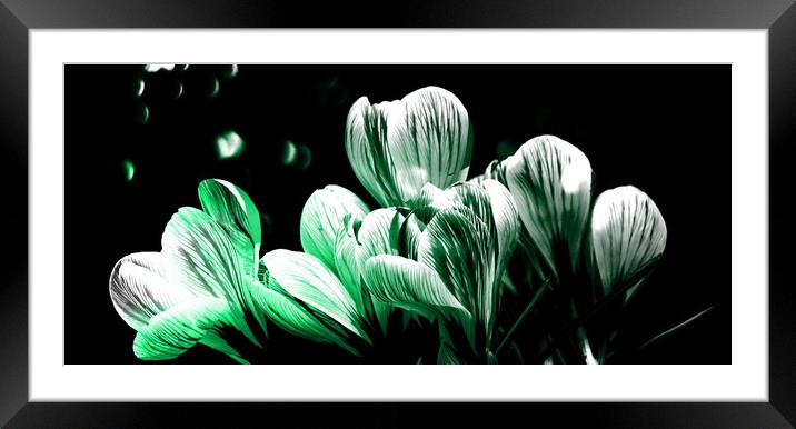Vibrant Spring Florals Framed Mounted Print by Beryl Curran