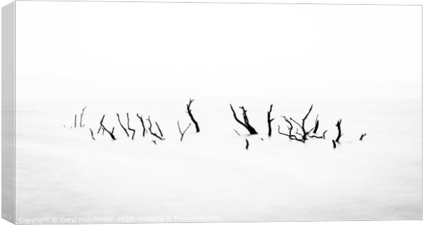 Skeletal trees Canvas Print by Daryl Peter Hutchinson