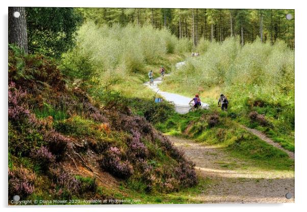 Cannock Chase Trails Acrylic by Diana Mower