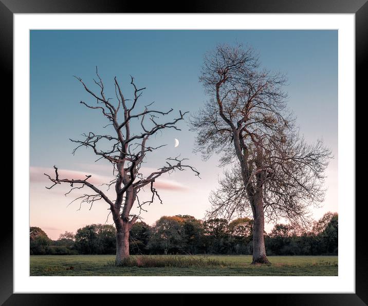 Two Trees in a Field, with Moon Framed Mounted Print by Mark Jones