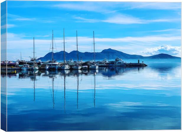 Small yachts Canvas Print by Perry Johnson