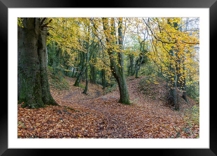 A Walk In The Woods Framed Mounted Print by Richard Burdon