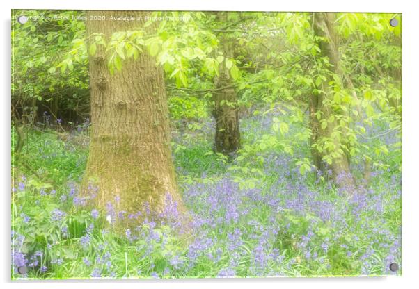 Spring colours and bluebells. Acrylic by Peter Jones