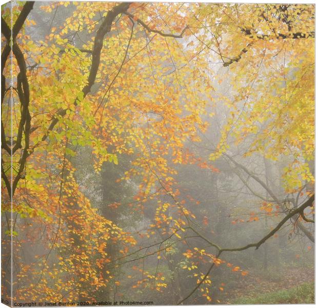 An Impression of Autumn  Canvas Print by Janet Burdon