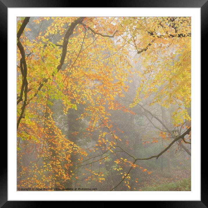 An Impression of Autumn  Framed Mounted Print by Janet Burdon