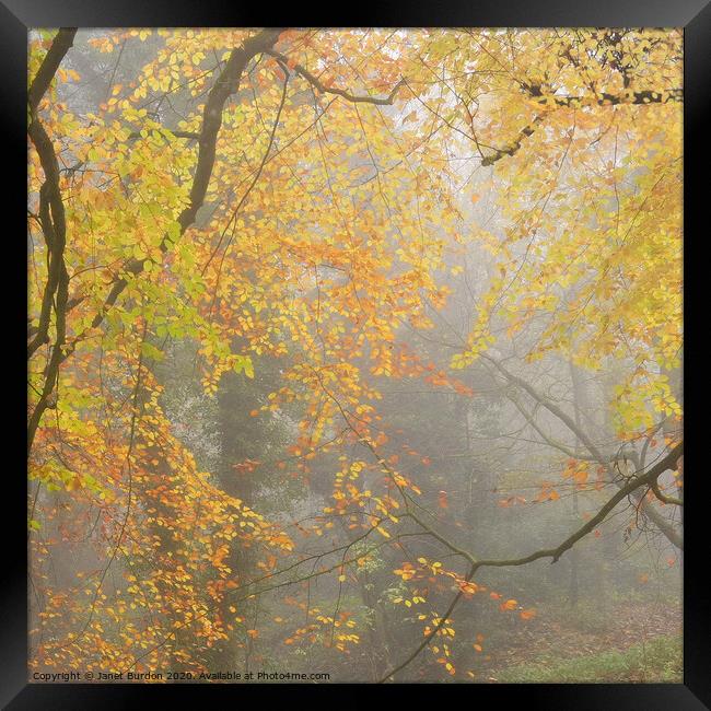 An Impression of Autumn  Framed Print by Janet Burdon