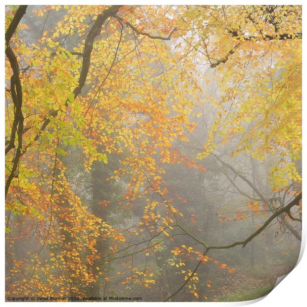 An Impression of Autumn  Print by Janet Burdon