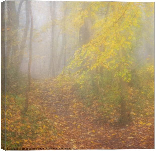 Autumn Mists Canvas Print by Janet Burdon