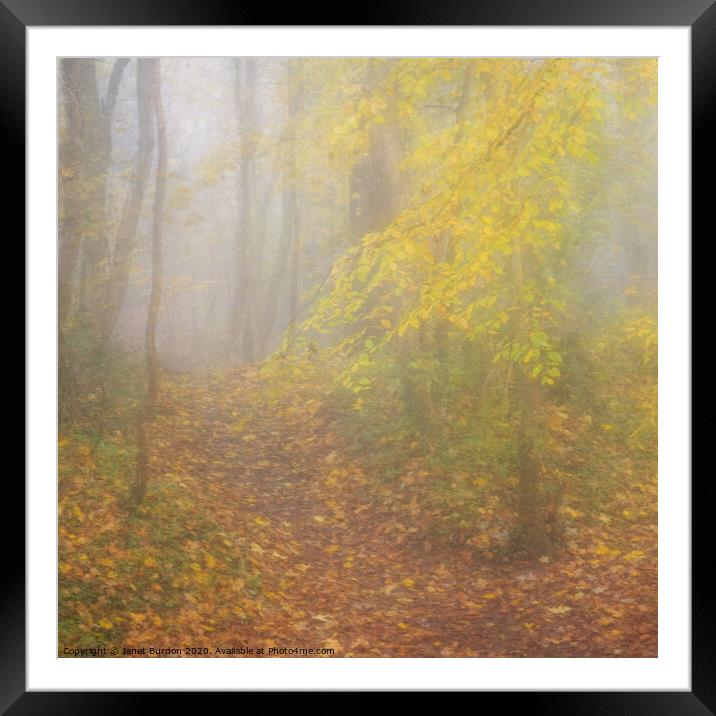 Autumn Mists Framed Mounted Print by Janet Burdon