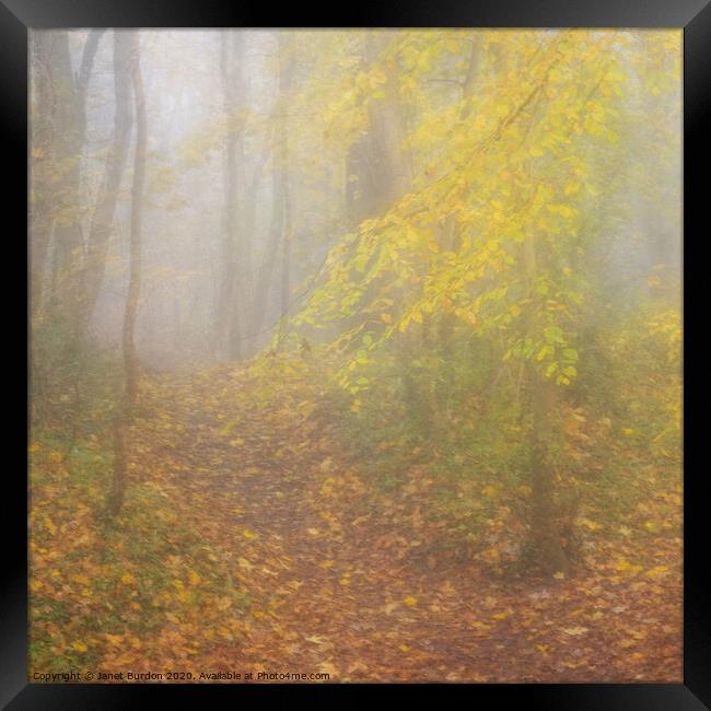 Autumn Mists Framed Print by Janet Burdon