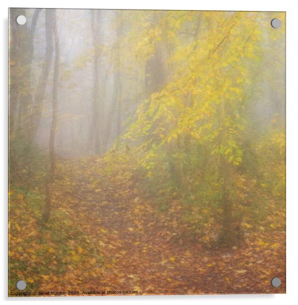 Autumn Mists Acrylic by Janet Burdon