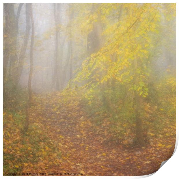 Autumn Mists Print by Janet Burdon