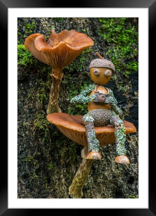 Little Photographer on Mushroom Framed Mounted Print by Arterra 
