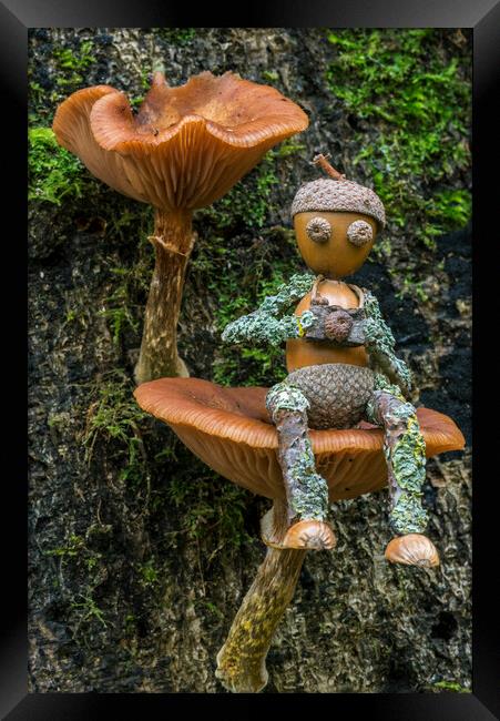 Little Photographer on Mushroom Framed Print by Arterra 
