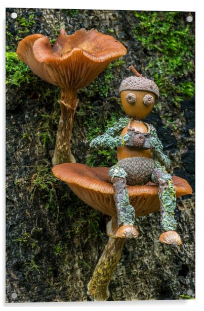 Little Photographer on Mushroom Acrylic by Arterra 