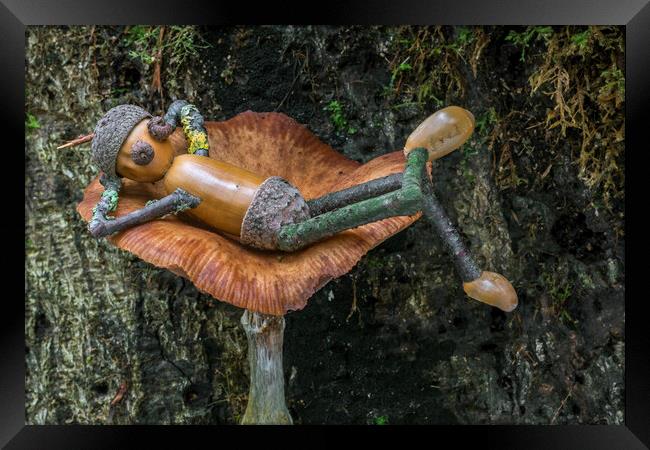 Lazy Acorn Man on Mushroom Framed Print by Arterra 