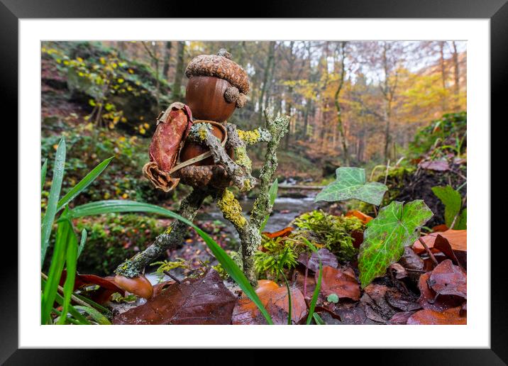 Little Acorn Man Hiking in Forest Framed Mounted Print by Arterra 
