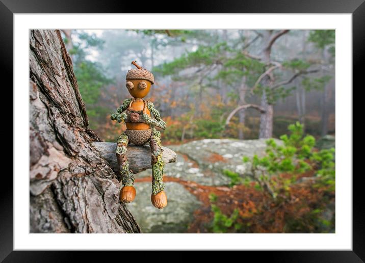 Little Acorn Photographer in Tree Framed Mounted Print by Arterra 
