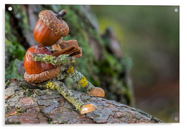 Little Acorn Reader in Tree Acrylic by Arterra 