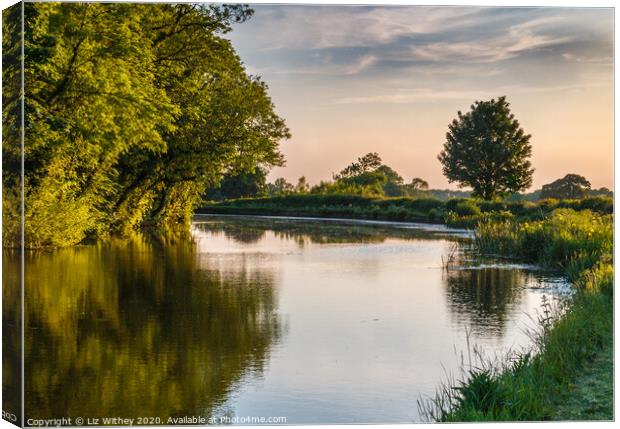 Summer Evening, Lancaster Canal Capernwray Canvas Print by Liz Withey