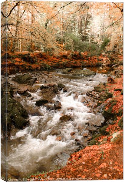 Shimna River - Tollymore Forest Park in Northern I Canvas Print by Jennifer Nelson