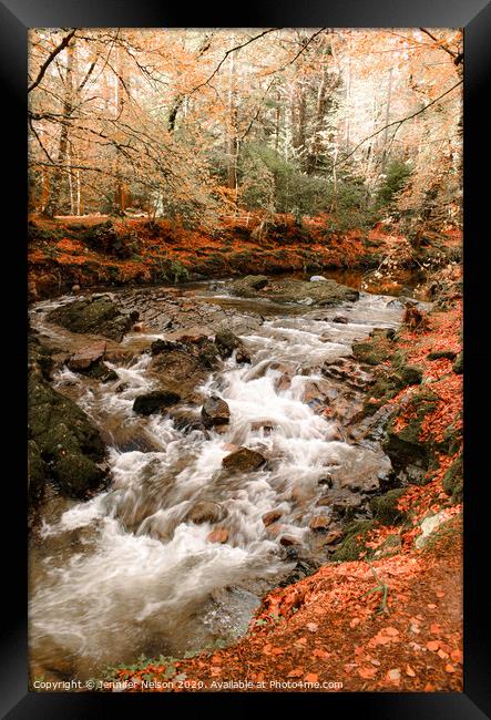 Shimna River - Tollymore Forest Park in Northern I Framed Print by Jennifer Nelson