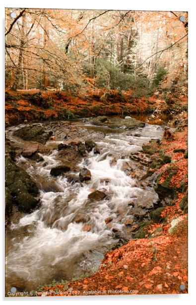 Shimna River - Tollymore Forest Park in Northern I Acrylic by Jennifer Nelson