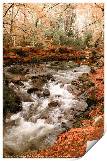 Shimna River - Tollymore Forest Park in Northern I Print by Jennifer Nelson