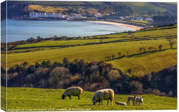 Spring at Cushendun, Northern Ireland Canvas Print by David McFarland