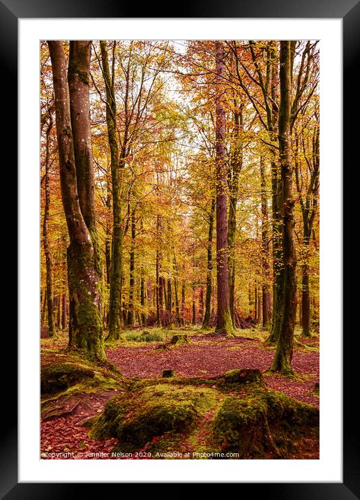The Mystical Tollymore Forest Park  Framed Mounted Print by Jennifer Nelson