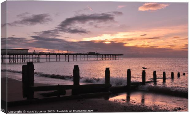 Teignmouth at Sunrise Canvas Print by Rosie Spooner