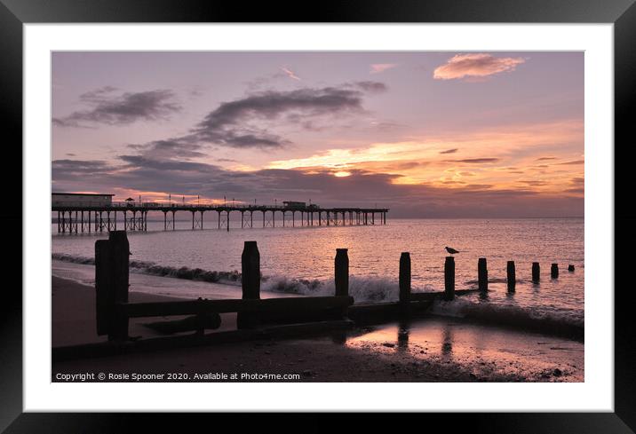 Teignmouth at Sunrise Framed Mounted Print by Rosie Spooner