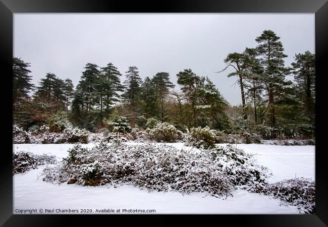 Winter In The New Forest Framed Print by Paul Chambers