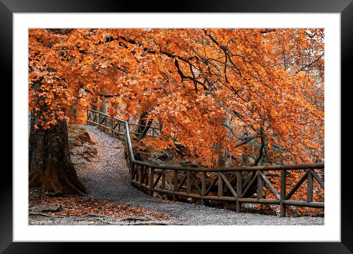 Autumn Flames - Tollymore Forest Park Framed Mounted Print by Jennifer Nelson