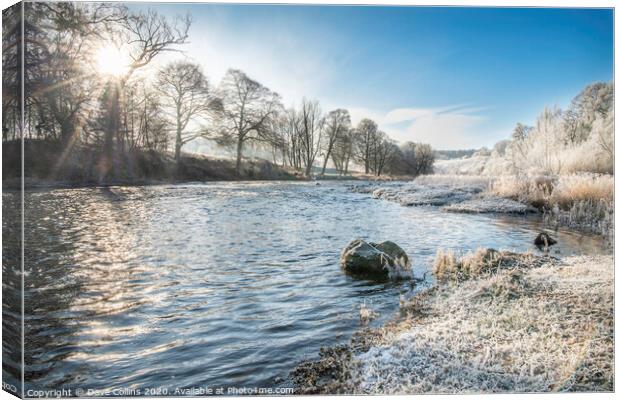 Teviot River on a Frosty Morning Canvas Print by Dave Collins