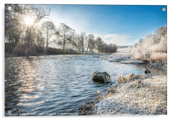 Teviot River on a Frosty Morning Acrylic by Dave Collins