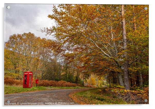An Autumnal Road Acrylic by Lynda Simpson