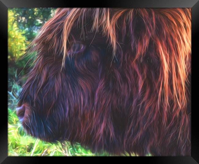 Highland Cow Framed Print by Lynda Simpson