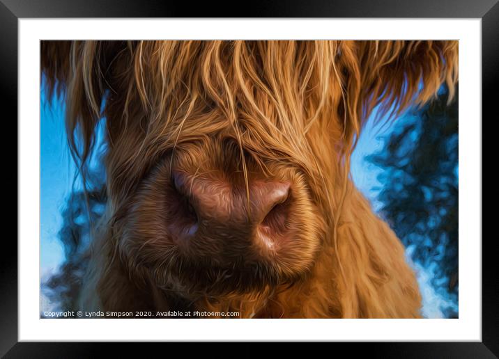 Nosey Highland Cow Framed Mounted Print by Lynda Simpson