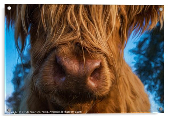 Nosey Highland Cow Acrylic by Lynda Simpson