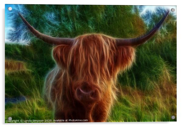 Highland Cow Acrylic by Lynda Simpson