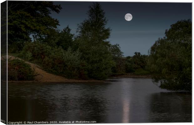 Moonlit Cadnam Pool Canvas Print by Paul Chambers