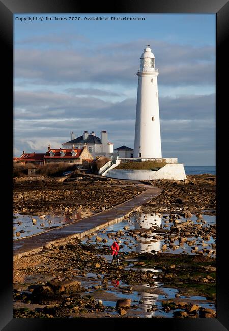 Looking for rock pools at St Mary's Island Framed Print by Jim Jones