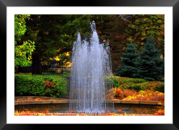 The Water Fountain Framed Mounted Print by Elaine Manley