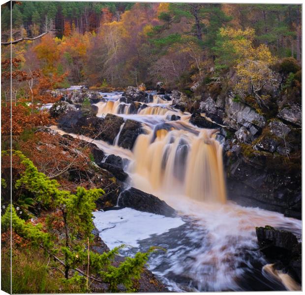 Rogie Falls  in Autumn Canvas Print by mary spiteri