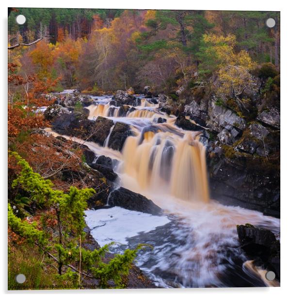 Rogie Falls  in Autumn Acrylic by mary spiteri