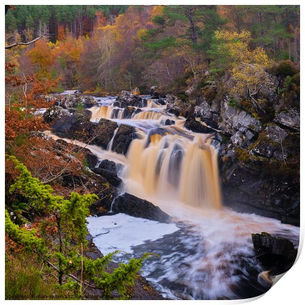 Rogie Falls  in Autumn Print by mary spiteri