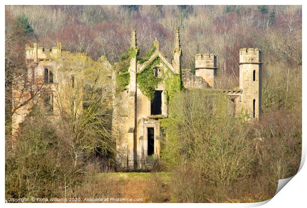 Cambusnethan Priory from the woods close up Print by Fiona Williams